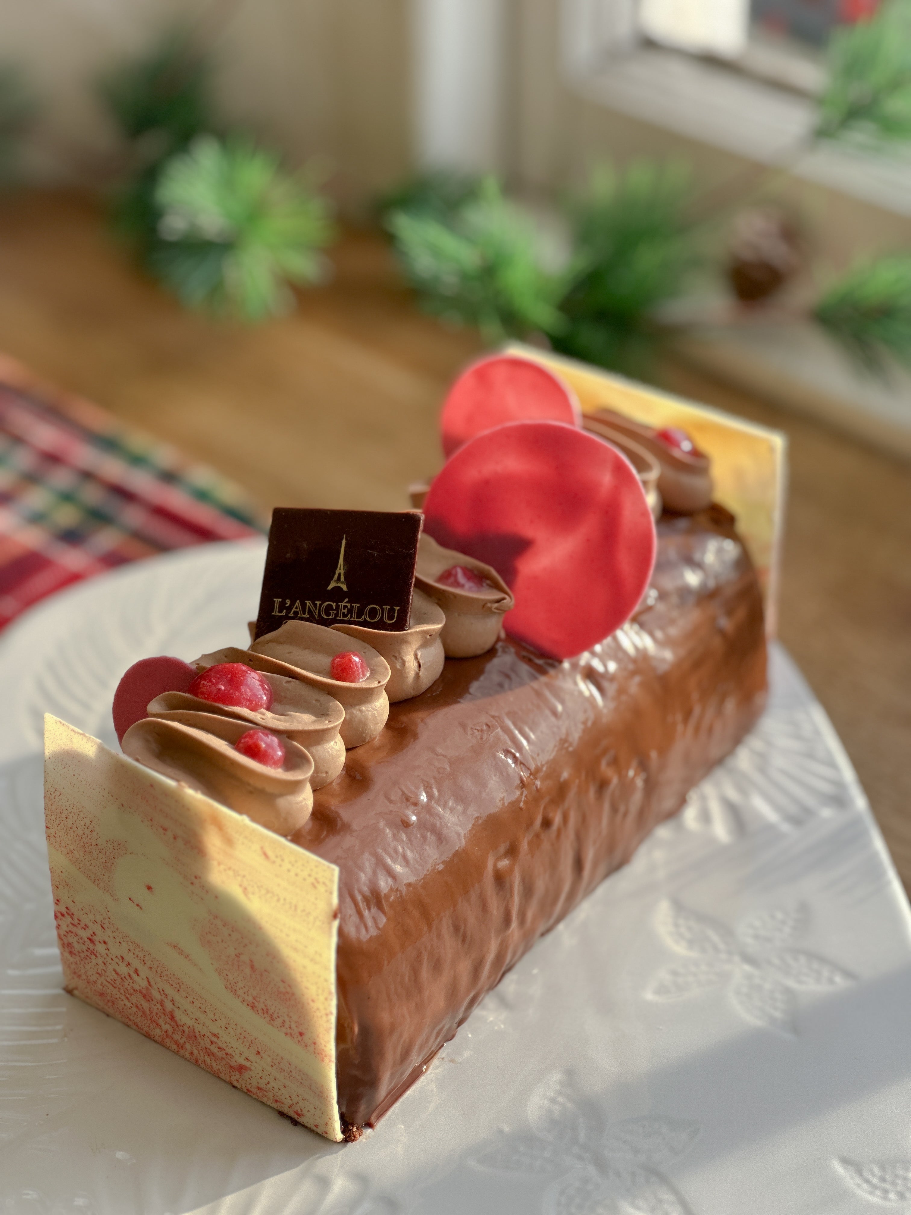 Rapsberry Chocolate Yule Log